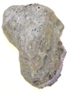 KC203C.jpg