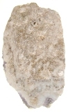 KC209B.jpg