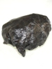 Russian Meteorite