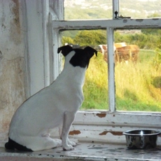 Moo land view 19th 013.jpg