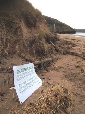 Daymer Bay storm damage bottles 009.jpg