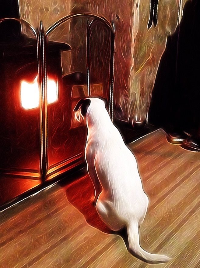 fire dog.jpg