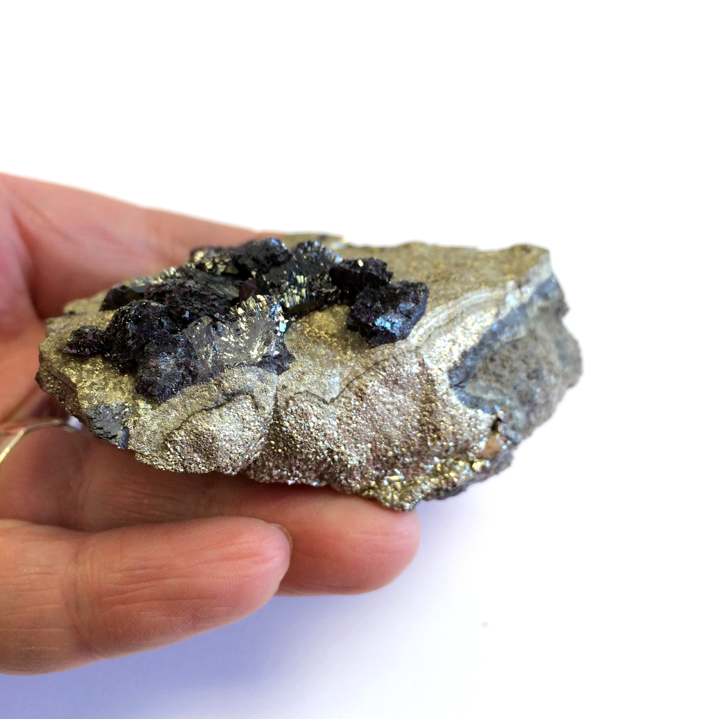 Somerset Sphalerite on Pyrite IMG_5349.JPG