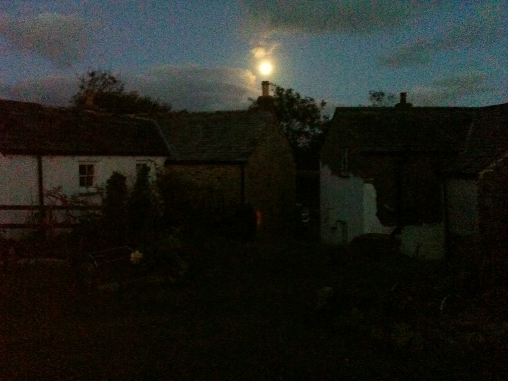 Harvest Moon 2012 iphone 2538.jpg