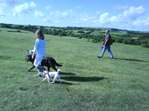 Moorland stroll.JPG