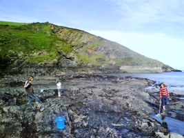 Port Issac Rock Pools Port Issac rock pooling.JPG