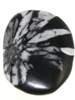 Chrysanthemum Stone S166t.jpg