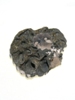 Pyritised Ammonite F031t.JPG