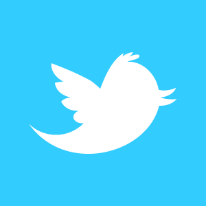 Rainbow Spirit Shop on Twitter twitter_newbird_boxed_whiteonblue.png