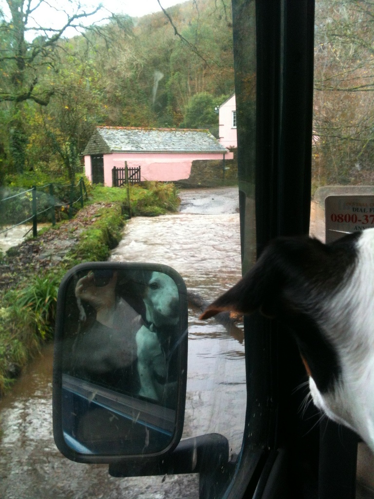 Waters high in the stream take care.jpg