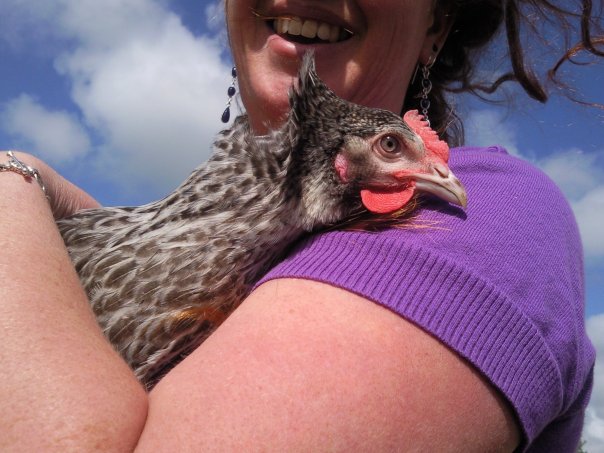 chickens.jpg