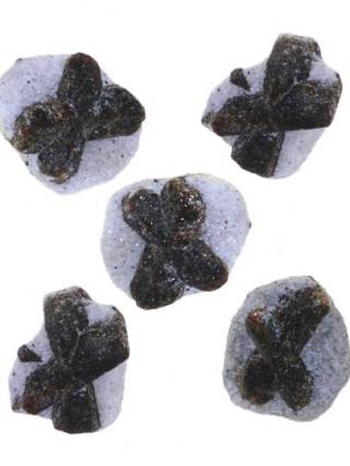 Staurolites staurolite cross.jpg