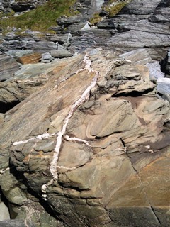 trebarwith quartz vein.jpg