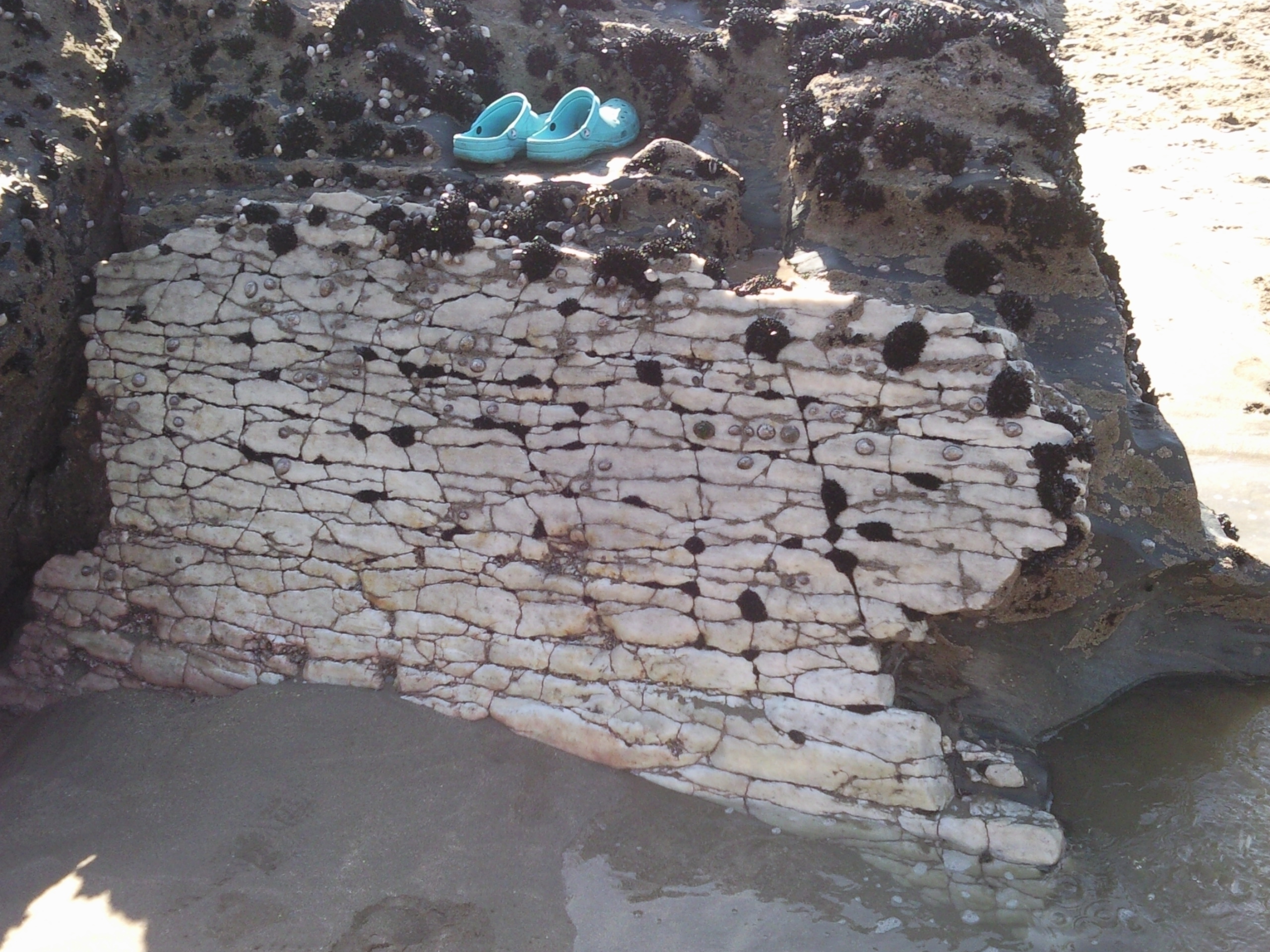 trebarwith quartz wall.jpg