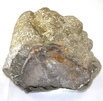 Pyrite with Hematite Core, Hampstead Farm Quarry S300b.jpg
