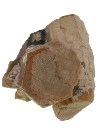 Arsenatian Vanadinite S354C.jpg