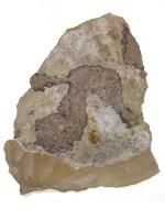 Chalcedony S472C.jpg