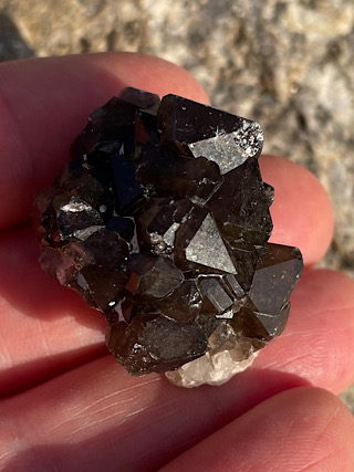Cornish Morion Smoky Quartz from Cornish Crystals & Minerals