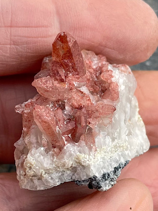 Harlequin Quartz from Cornish Crystals & Minerals