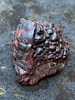 Botryoidal Hematite