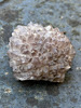 Cornish Smoky Quartz