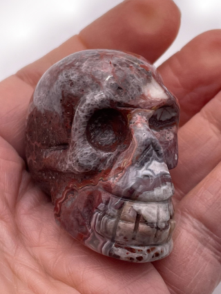 Red Agate Skull from Crystal Skulls