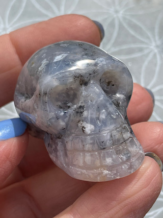 Moss Agate Crystal Skull from Crystal Skulls
