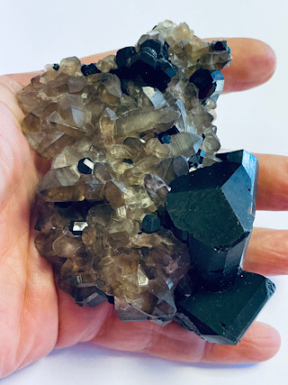 Smoky Quartz with Black Tourmaline from Crystal Specimens