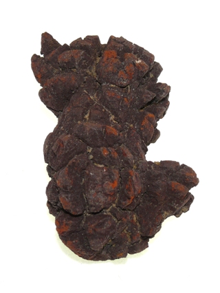 Coprolite from Crystal Specimens
