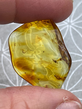 Amber Tumble Stone from Tumbled Stones